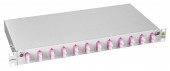 Splicebox, 8 fibre,SC,50/125µm OM4, culisant,19