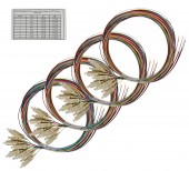 Splicebox FO, 48 Fibre, SC, 50/125µm OM3, 19, 1U, Class C