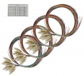 Splicebox FO, 48 Fibre, SC, 50/125µm OM4, 19, 1U, Class C