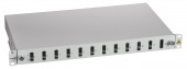 Splicebox FO gol pt. 12 cuplori SC-Duplex, 1U, RAL7035