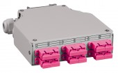 Splicebox FO pt. sina DIN,  8 Fibre, SC, 50/125µm OM4