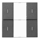 Taster KNX, doua perechi, cu LED de stare, antracit