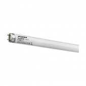 Tub Fluorescent Foodstar Fresh T8 36W