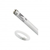 Tub Fluorescent Insecte T5 F6W