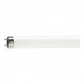 Tub Fluorescent TL-D Food 36W